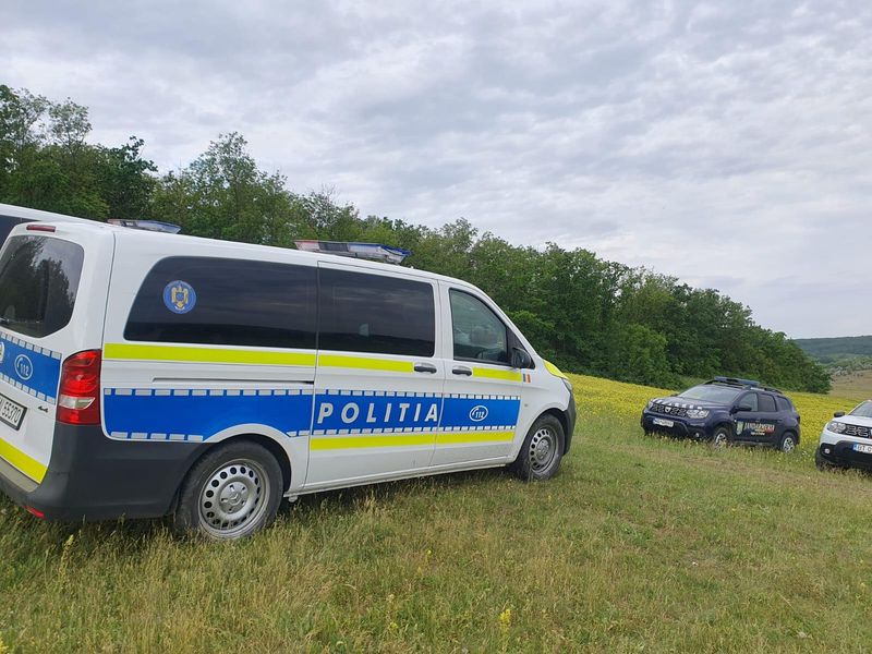 crima botosani