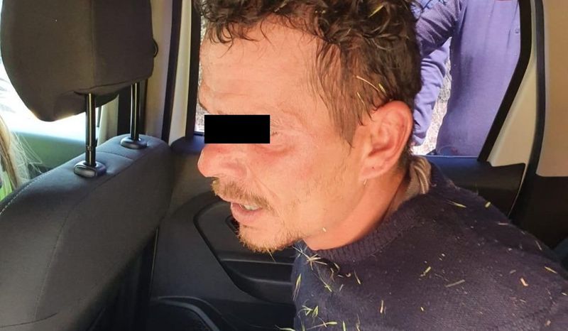 suspect botosani