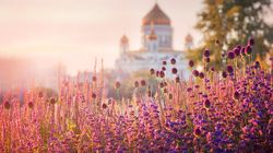 Calendar ortodox, 1 iunie 2024. Ce sfinți sunt prăznuiți în prima zi de vară