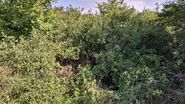 Locul în care a fost găsit cadavrul Raisei