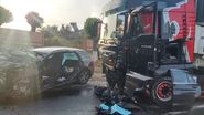 Accidentul în care și-a pierdut viața mama Ginei Gogean