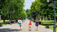 vara, parc, copii cu spatele