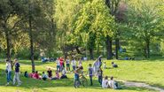 oameni in parc, verdeata, natura, vara