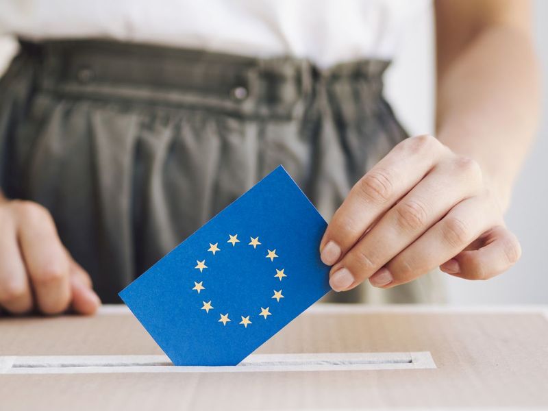 alegerile europarlamentare