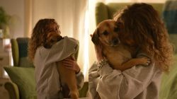 Patrocle, cel mai căutat cățel din România, a ajuns în brațele stăpânei, după luni întregi în care au stat despărțiri! Revederea a fost cu multe emoții și lacrimi de bucurie: „E acasă”