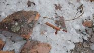 Localitatea Coronini din Caraș-Severin, distrusă de furtună