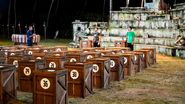 Finala Insula de 1 milion