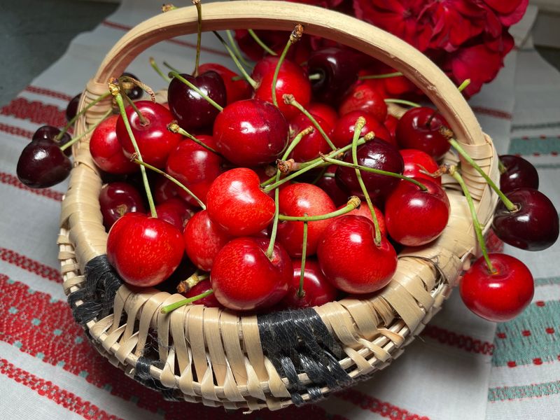 cos cu cirese