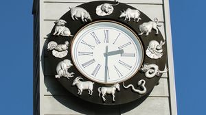 Elemente zodiac chinezesc