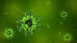 bacterie rară, Japonia, șoc toxic streptococic 