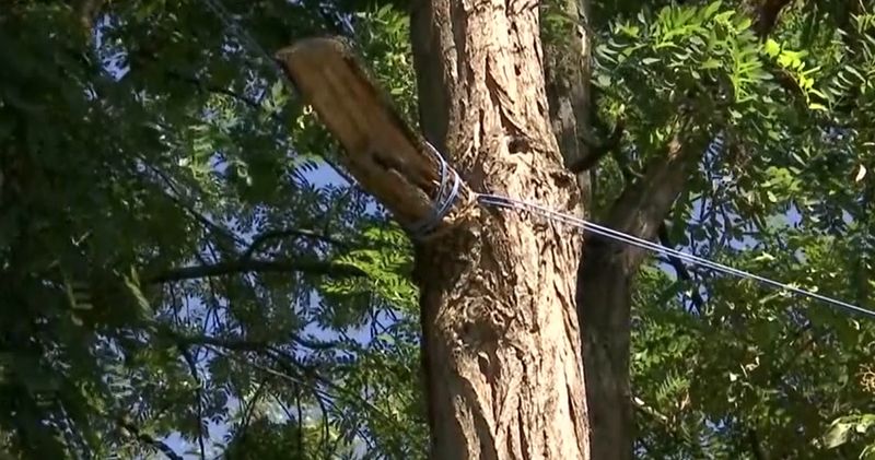 Improvizațiile electrice găsite de anchetatori la fața locului