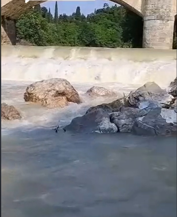 Locul unde a fost găsit Cristi Molnar