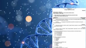 adn, colaj subiecte biologie bac