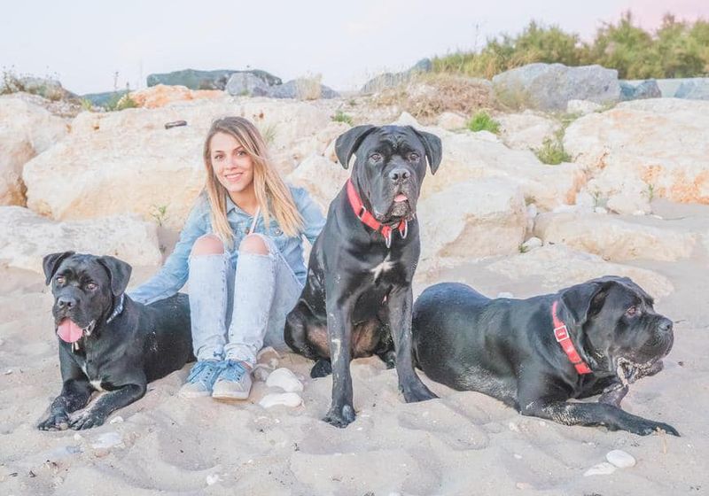 Andreea Ibacka cu cei trei câini ai ei Andreea Ibacka cu cei trei câini ai ei