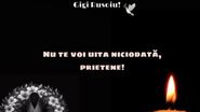 radu casa iubirii