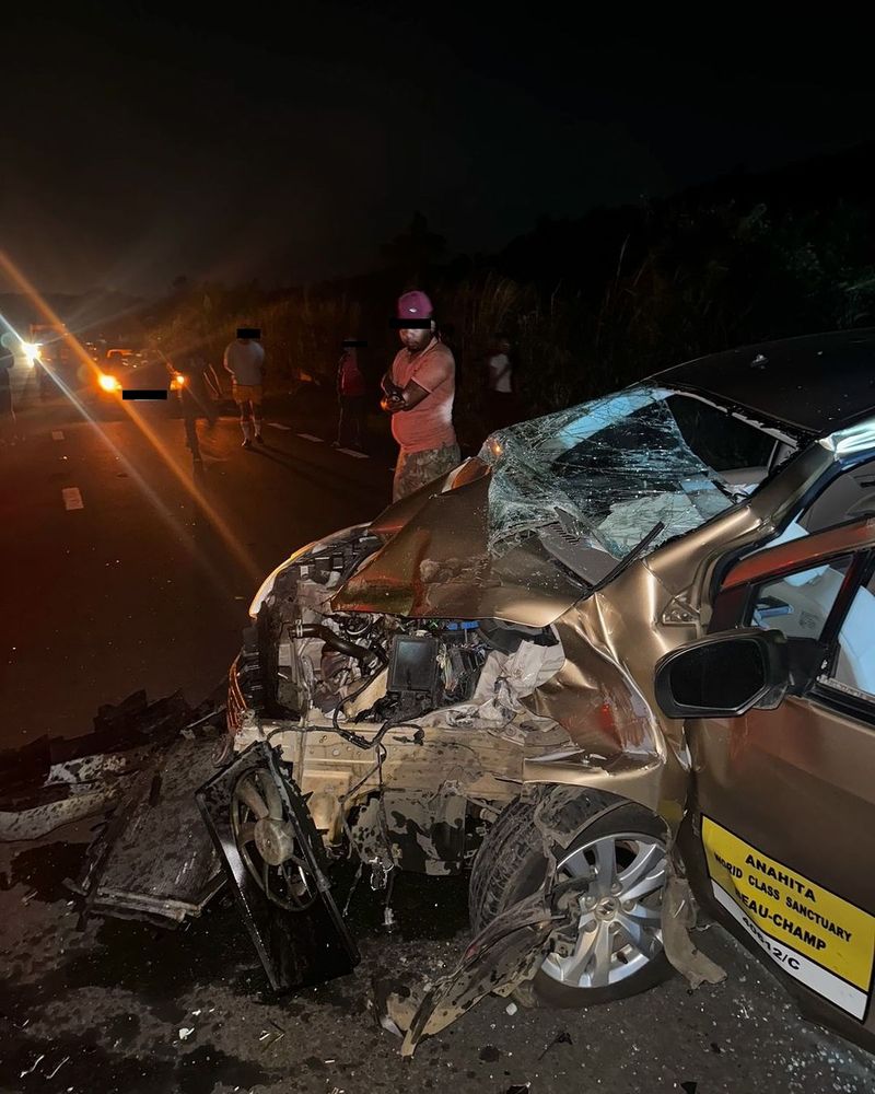 accident emily burghelea
