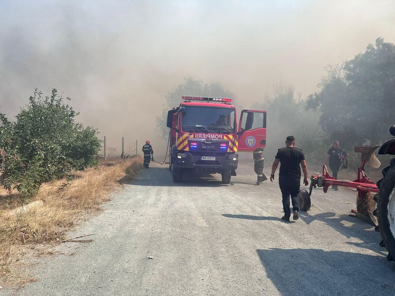 Incendiu de vegetație în Constanța