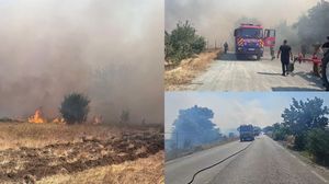 Incendiu de vegetație în Constanța
