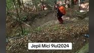 traseu jepii mici