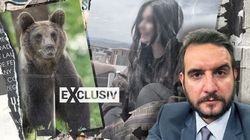 Detaliul care ar complica ancheta în cazul Dianei, tânăra atacată de urs pe Jepii Mici! Avocatul Adrian Cuculis explică cine ar putea plăti în urma tragediei din Bucegi | EXCLUSIV