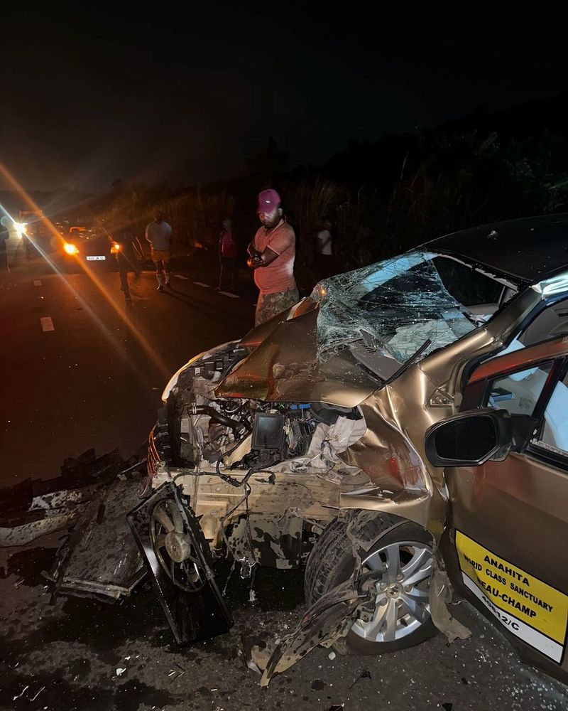 emily burghelea accident
