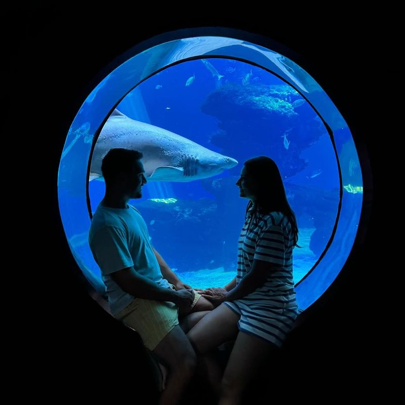 oana mosneagu vlad gherman 