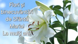 Felicitare de Sfânta Maria