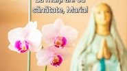 Felicitare de Sfânta Maria