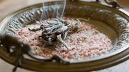 sare, ritual, spa