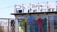 container dana marijuana