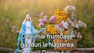 Felicitare de Sfânta Maria