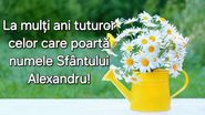Felicitări de Sfântul Alexandru