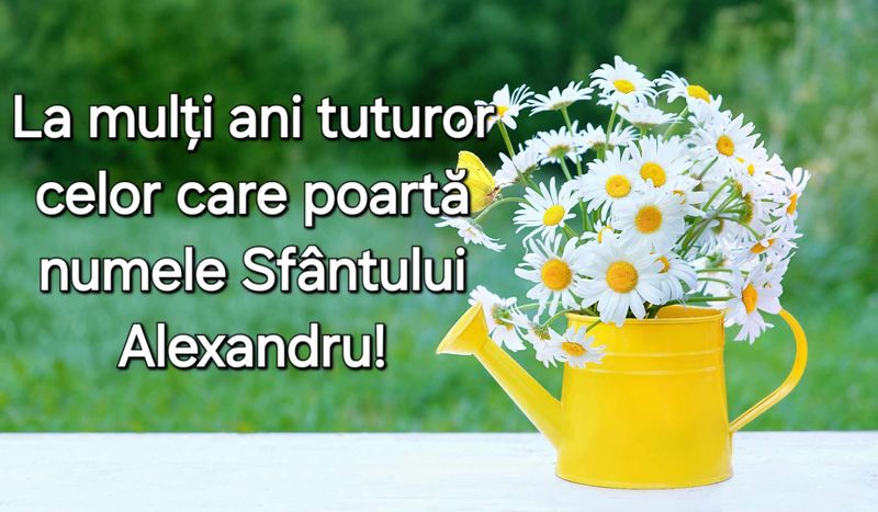 Felicitări de Sfântul Alexandru