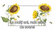 Felicitări de Sfântul Alexandru