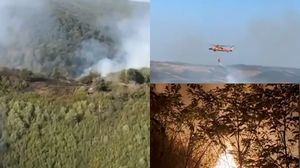 Incendiu de vegetație