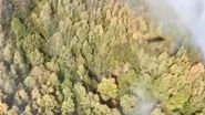 Incendiu de vegetație