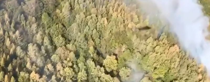 Incendiu de vegetație