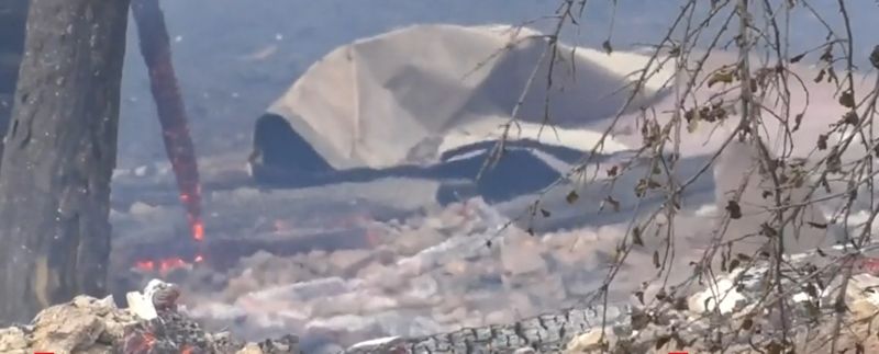 Incendiu de vegetație