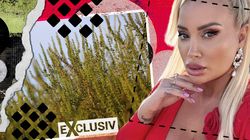 Simona Trașcă a povestit cum a aflat că are alergie la ambrozie! Vedeta TV, clipe de coșmar din cauza simptomelor: "Nu știam ce se întâmplă cu mine" | EXCLUSIV