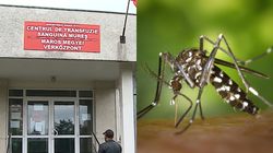 Donarea de sânge, interzisă în Luduș, după ce a fost confirmat primul caz de West Nile! Autoritățile sanitare au impus măsuri drastice