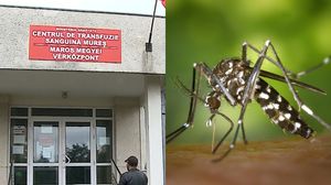 Centrul de transfuzie din Mureș