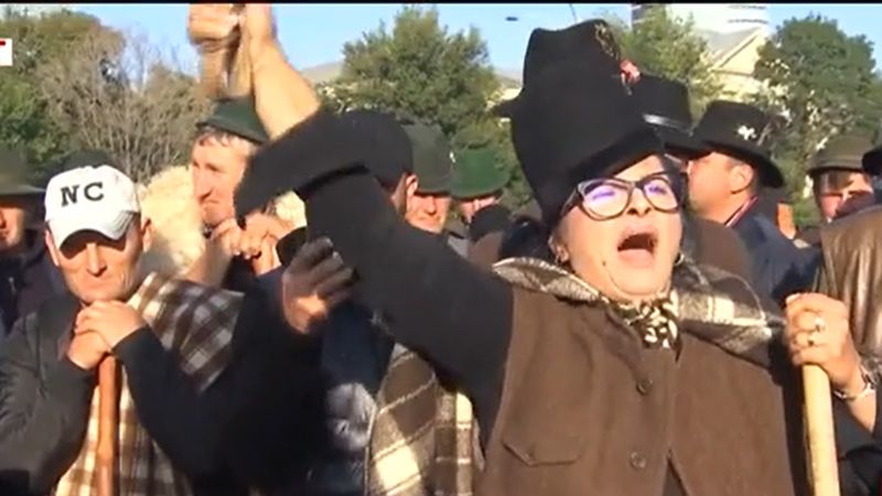 Protest în Piața Victoriei