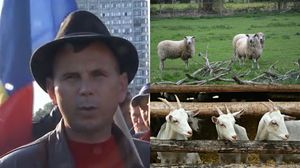 Protest în Piața Victoriei