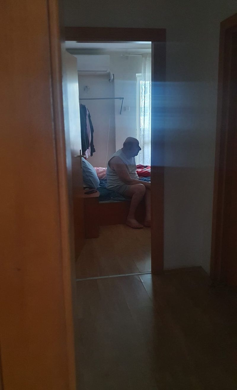 Viorel Lis