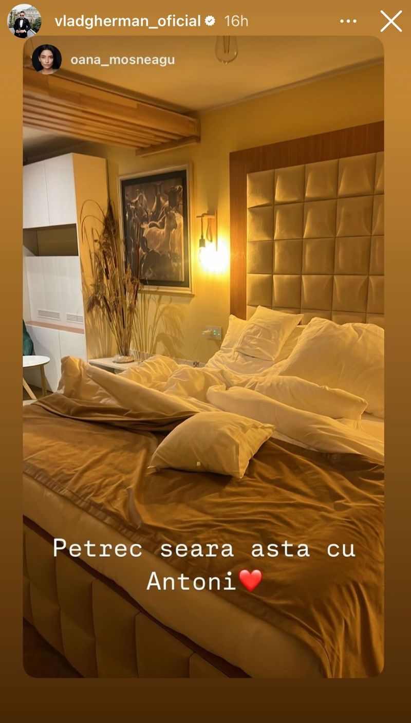 Postarea controversată a Oanei Moșneagu