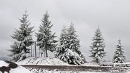 Prima ninsoare în zonele montane