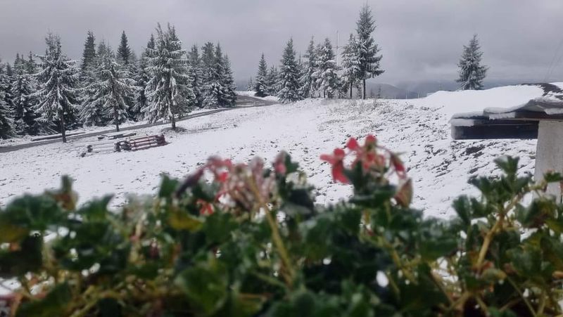 Prima ninsoare în zonele montane