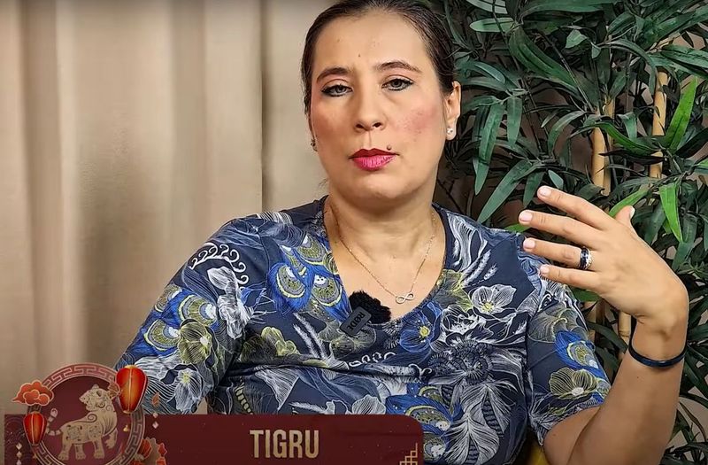 anca dimancea tigru