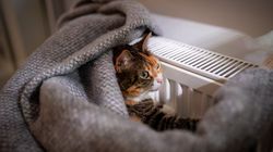 Când se dă drumul la căldură în calorifere? Sezonul rece 2024 -2025 va începe în curând!