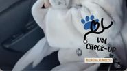 Lorena, fosta concurentă „Casa Iubirii” și Stitch
